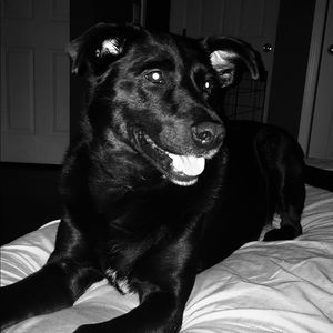 Meet your Posher, Justine